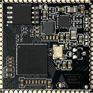 AI intelligent face recognition module